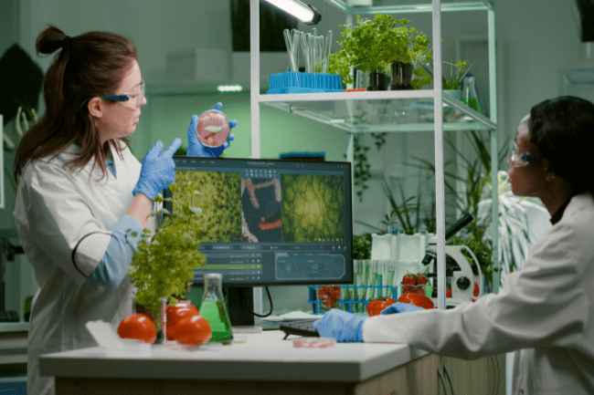 Biotechnology & Healthcare